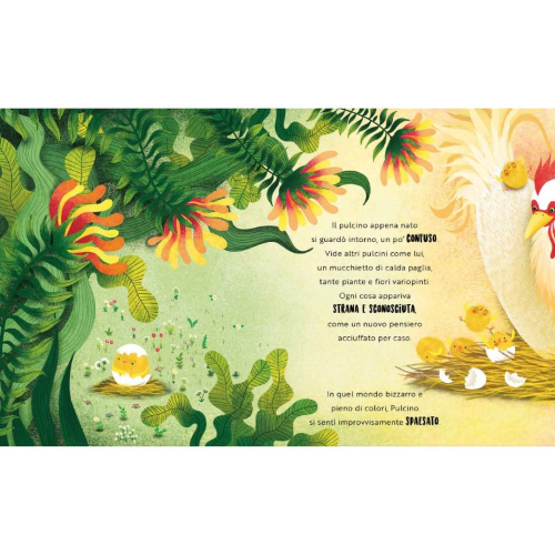 Picture Books - Una Felicità Da Pulcino - Capriccio Baby