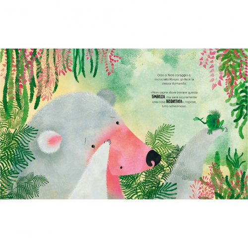 Picture Books - Una Timidezza Da Orso - Capriccio Baby