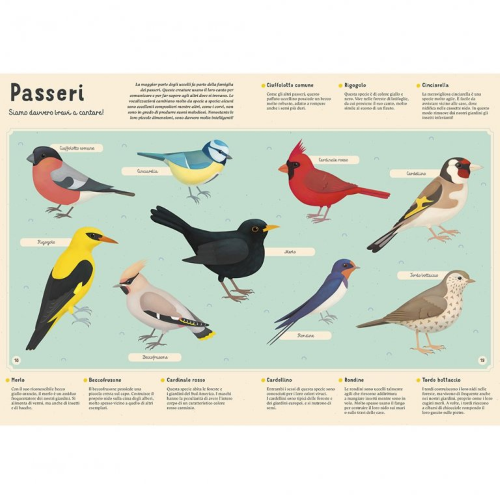 Reference Books - Enciclopedia Degli Animali Per Piccoli Lettori - N.E. 2023 - Capriccio Baby