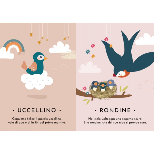 Le mie prime carte. Le stagioni - Capriccio Baby